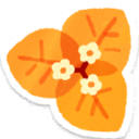 Orange bougainvillea