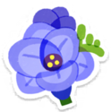 Blue freesia