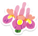 Pink iris