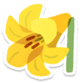 Yellow lily