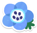 Blue nemophila