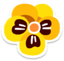 Yellow pansy