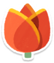 Orange tulip
