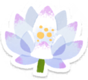 White water lily