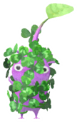 Purple Pikmin with clover