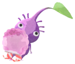 Purple Pikmin with present sticker