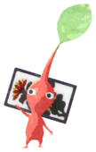 Red Pikmin with flower card
