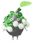Rock Pikmin with clover