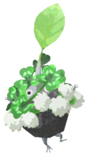Rock Pikmin with clover