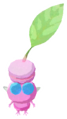 Winged Pikmin with macaron