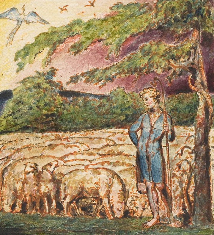 The Shepherd by William Blake